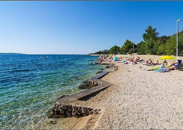 Oleandra
